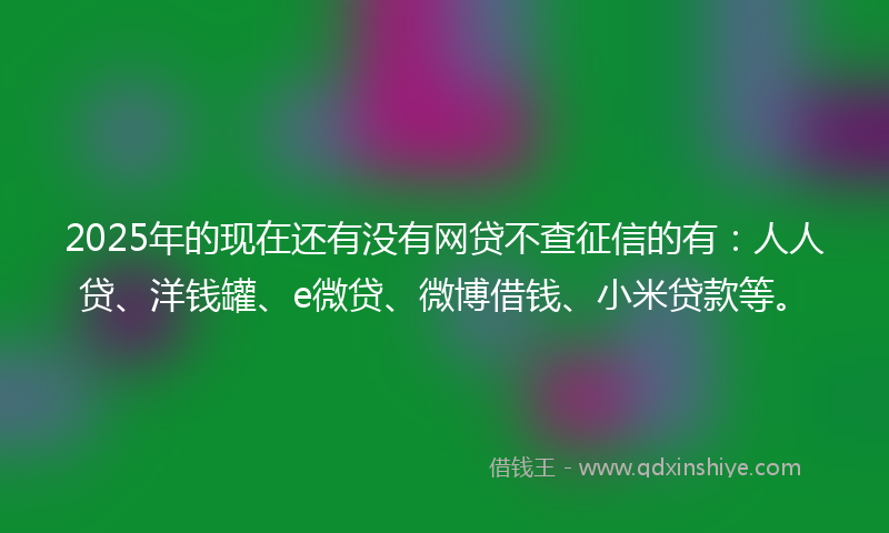 2025年的现在还有没有网贷不查征信的有：人人贷、洋钱罐、e微贷、微博借钱、小米贷款等。