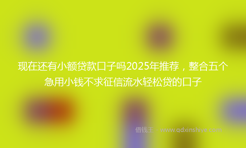现在还有小额贷款口子吗2025年推荐,整合五个急用小钱不求征信流水轻松贷的口子