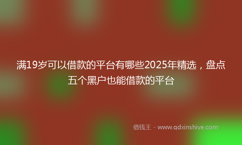 满19岁可以借款的平台有哪些2025年精选，盘点五个黑户也能借款的平台
