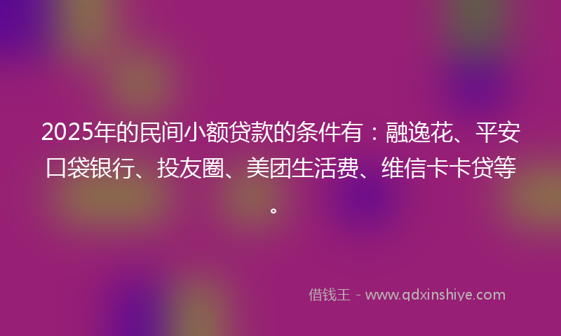 2025年的民间小额贷款的条件有：融逸花、平安口袋银行、投友圈、美团生活费、维信卡卡贷等。