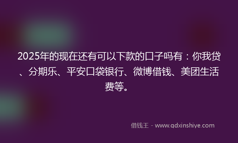 2025年的现在还有可以下款的口子吗有：你我贷、分期乐、平安口袋银行、微博借钱、美团生活费等。