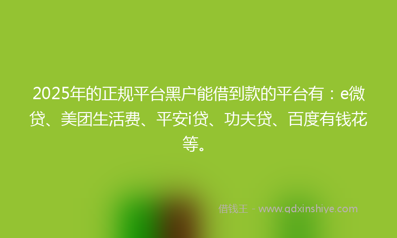 2025年的正规平台黑户能借到款的平台有：e微贷、美团生活费、平安i贷、功夫贷、百度有钱花等。