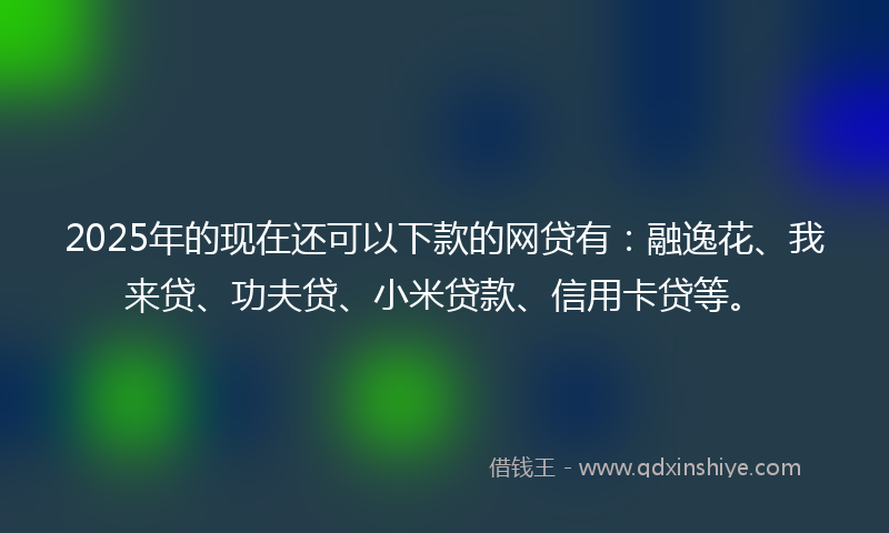 2025年的现在还可以下款的网贷有：融逸花、我来贷、功夫贷、小米贷款、信用卡贷等。