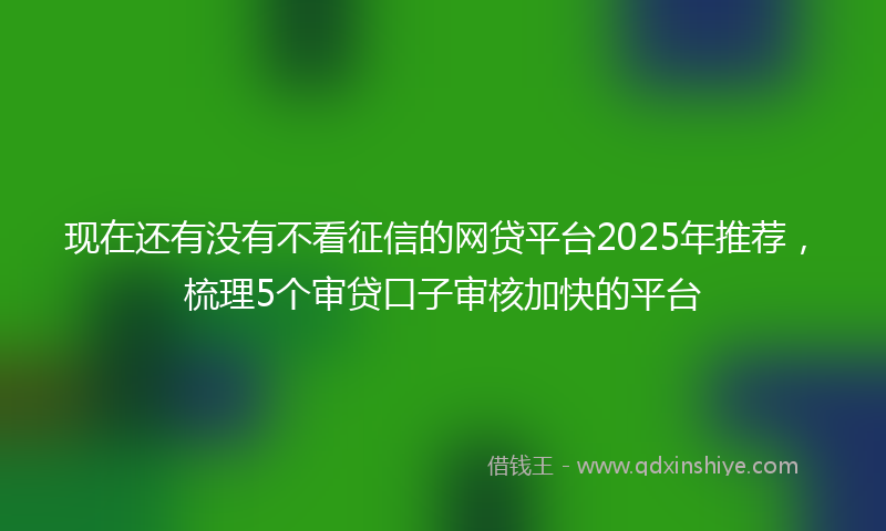 现在还有没有不看征信的网贷平台2025年推荐，梳理5个审贷口子审核加快的平台
