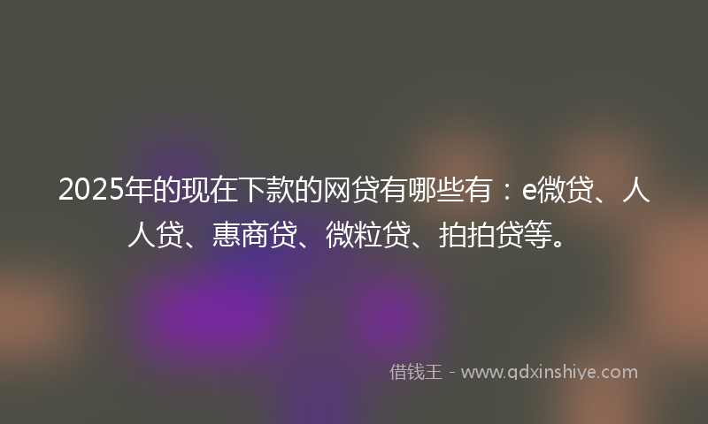 2025年的现在下款的网贷有哪些有：e微贷、人人贷、惠商贷、微粒贷、拍拍贷等。