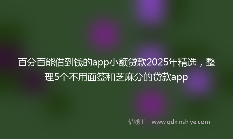 百分百能借到钱的app小额贷款2025年精选，整理5个不用面签和芝麻分的贷款app