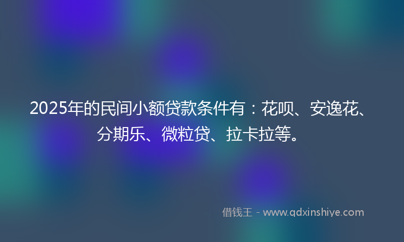 2025年的民间小额贷款条件有：花呗、安逸花、分期乐、微粒贷、拉卡拉等。
