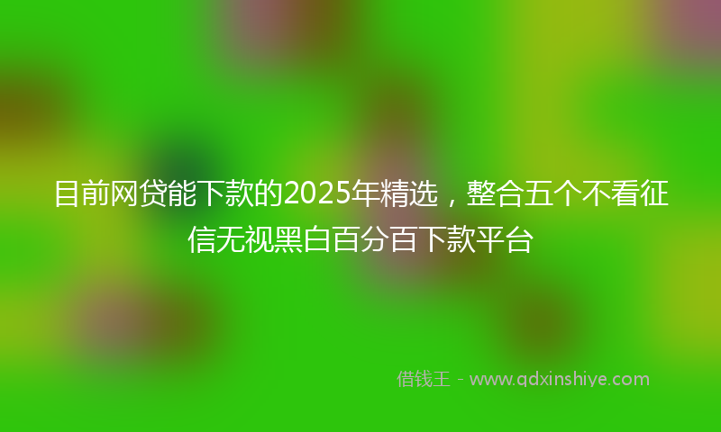 目前网贷能下款的2025年精选，整合五个不看征信无视黑白百分百下款平台