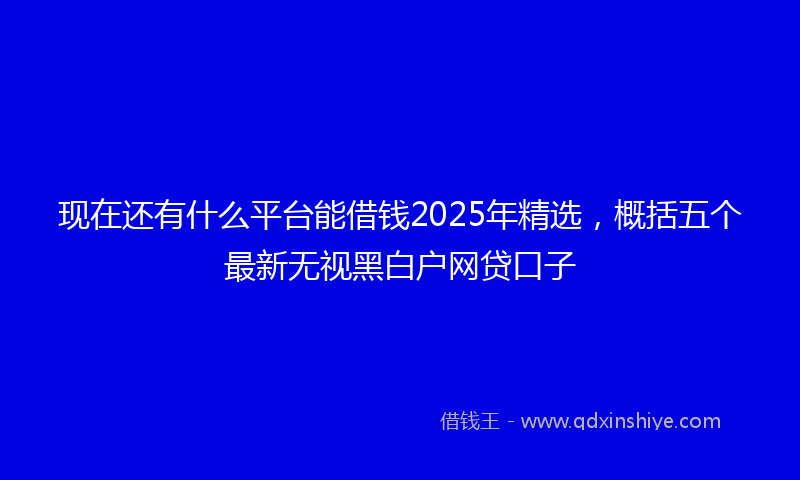 现在还有什么平台能借钱2025年精选，概括五个最新无视黑白户网贷口子