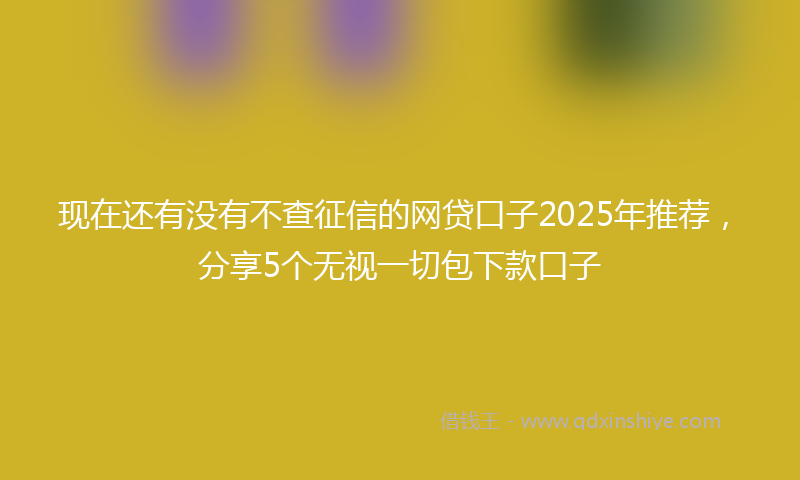 现在还有没有不查征信的网贷口子2025年推荐,分享5个无视一切包下款口子