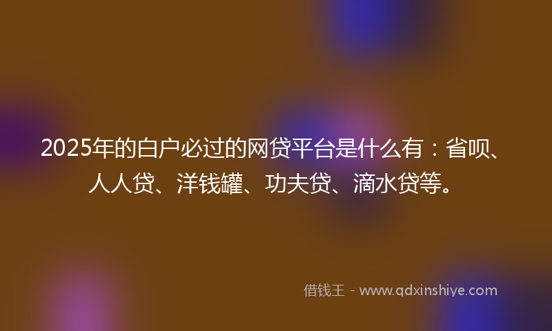 2025年的白户必过的网贷平台是什么有：省呗、人人贷、洋钱罐、功夫贷、滴水贷等。