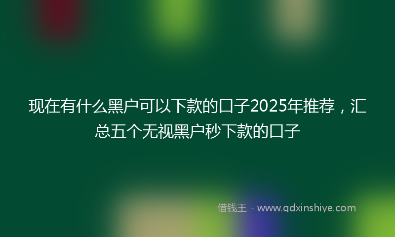 现在有什么黑户可以下款的口子2025年推荐，汇总五个无视黑户秒下款的口子