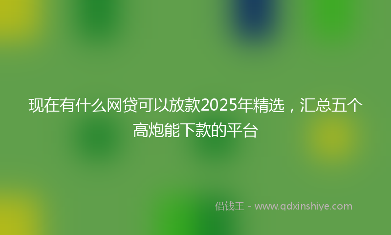现在有什么网贷可以放款2025年精选，汇总五个高炮能下款的平台