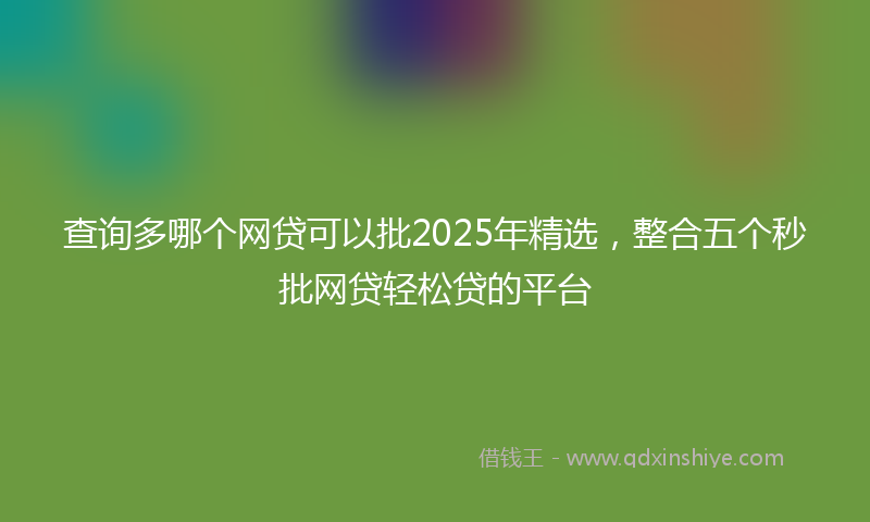 查询多哪个网贷可以批2025年精选，整合五个秒批网贷轻松贷的平台