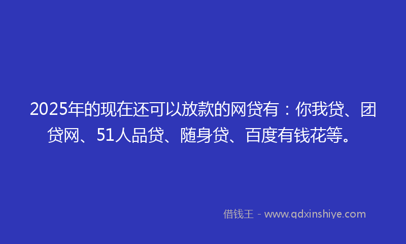 2025年的现在还可以放款的网贷有：你我贷、团贷网、51人品贷、随身贷、百度有钱花等。