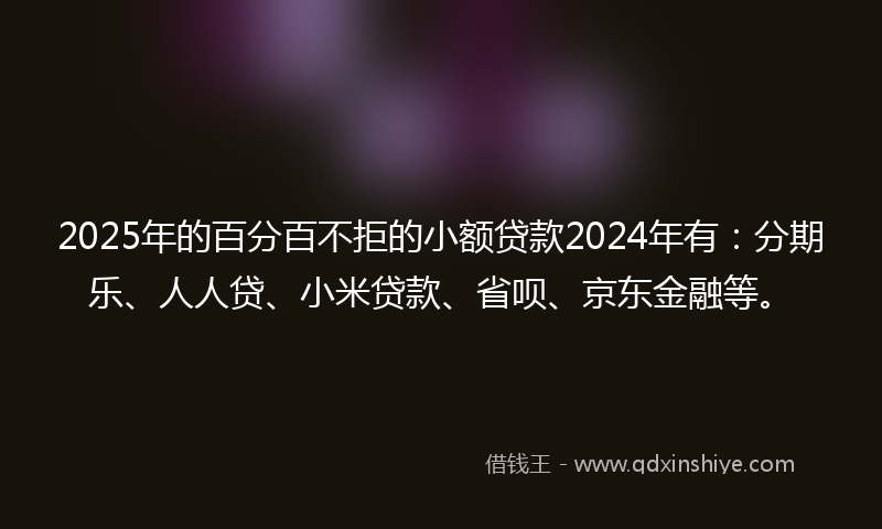 2025年的百分百不拒的小额贷款2024年有：分期乐、人人贷、小米贷款、省呗、京东金融等。