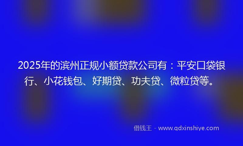 2025年的滨州正规小额贷款公司有：平安口袋银行、小花钱包、好期贷、功夫贷、微粒贷等。