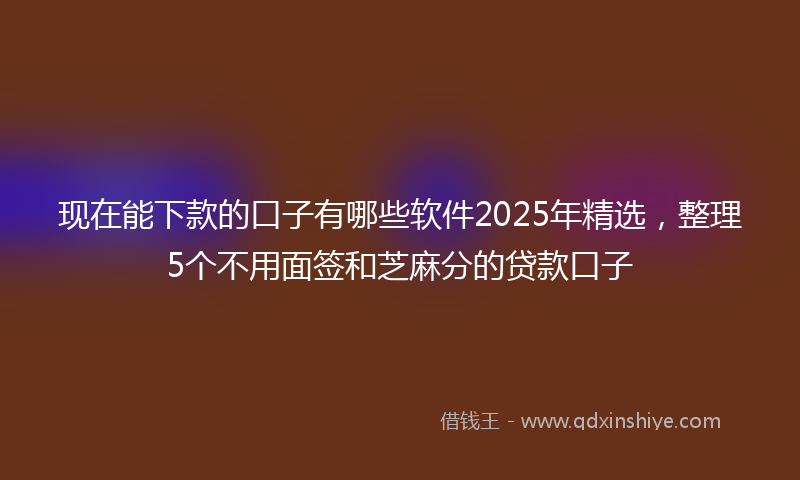 现在能下款的口子有哪些软件2025年精选，整理5个不用面签和芝麻分的贷款口子