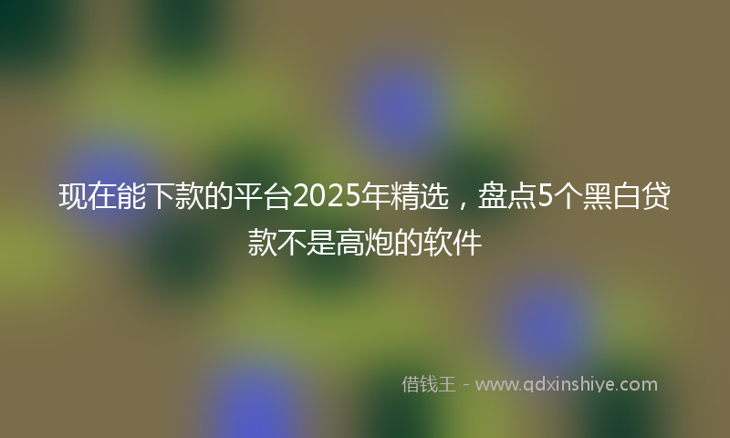现在能下款的平台2025年精选,盘点5个黑白贷款不是高炮的软件