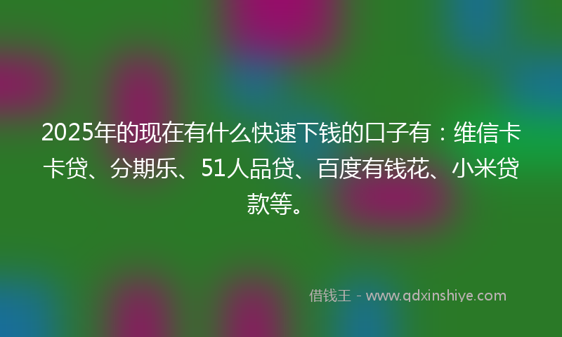 2025年的现在有什么快速下钱的口子有：维信卡卡贷、分期乐、51人品贷、百度有钱花、小米贷款等。