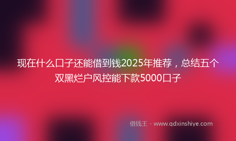 现在什么口子还能借到钱2025年推荐，总结五个双黑烂户风控能下款5000口子