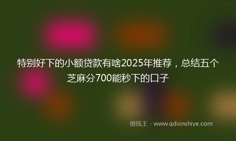 特别好下的小额贷款有啥2025年推荐，总结五个芝麻分700能秒下的口子