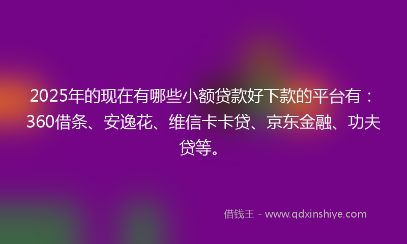 2025年的现在有哪些小额贷款好下款的平台有：360借条、安逸花、维信卡卡贷、京东金融、功夫贷等。