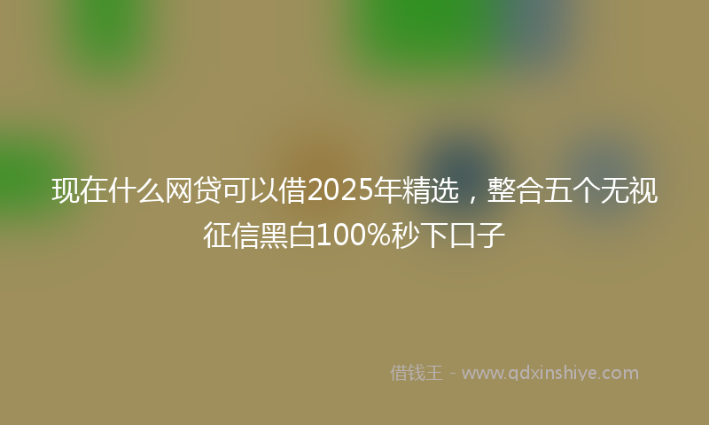 现在什么网贷可以借2025年精选，整合五个无视征信黑白100%秒下口子