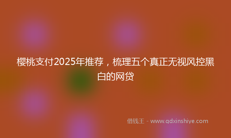 樱桃支付2025年推荐，梳理五个真正无视风控黑白的网贷