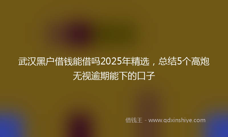 武汉黑户借钱能借吗2025年精选，总结5个高炮无视逾期能下的口子