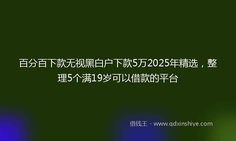 百分百下款无视黑白户下款5万2025年精选，整理5个满19岁可以借款的平台