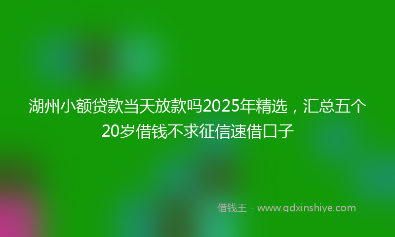 湖州小额贷款当天放款吗2025年精选，汇总五个20岁借钱不求征信速借口子