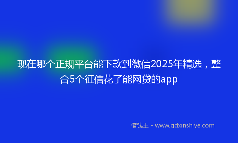 现在哪个正规平台能下款到微信2025年精选，整合5个征信花了能网贷的app