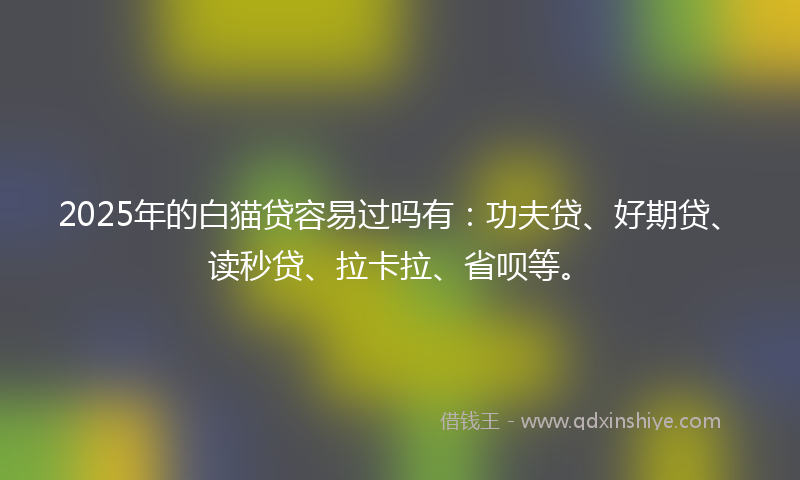 2025年的白猫贷容易过吗有:功夫贷、好期贷、读秒贷、拉卡拉、省呗等。