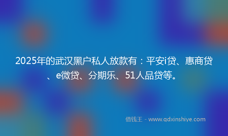 2025年的武汉黑户私人放款有：平安i贷、惠商贷、e微贷、分期乐、51人品贷等。