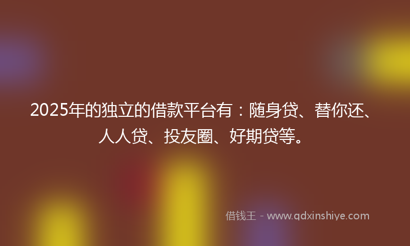 2025年的独立的借款平台有：随身贷、替你还、人人贷、投友圈、好期贷等。