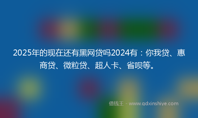 2025年的现在还有黑网贷吗2024有：你我贷、惠商贷、微粒贷、超人卡、省呗等。