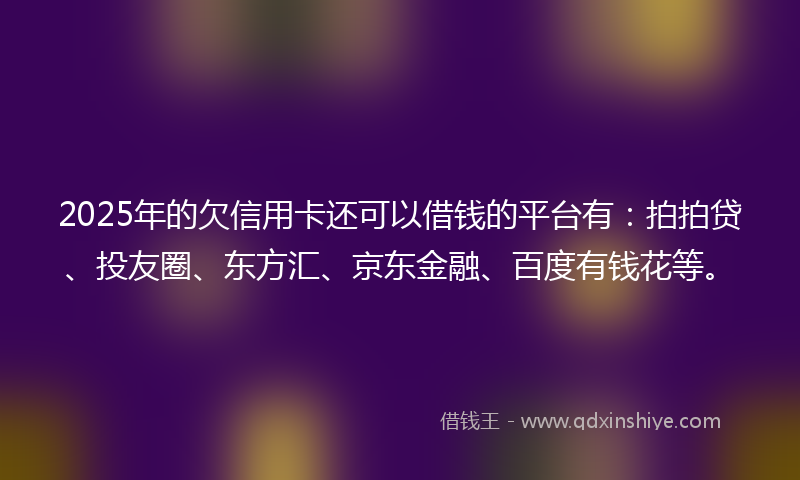2025年的欠信用卡还可以借钱的平台有：拍拍贷、投友圈、东方汇、京东金融、百度有钱花等。
