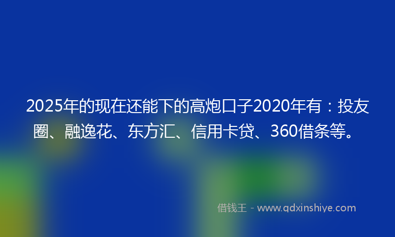 2025年的现在还能下的高炮口子2020年有：投友圈、融逸花、东方汇、信用卡贷、360借条等。