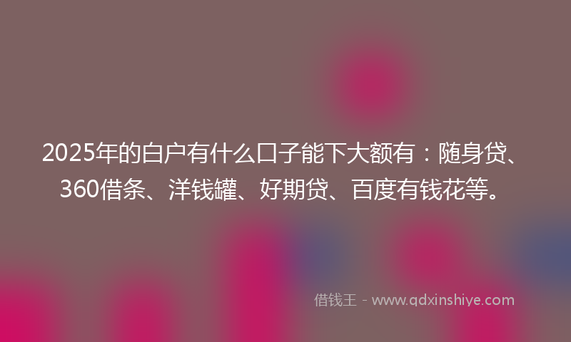 2025年的白户有什么口子能下大额有：随身贷、360借条、洋钱罐、好期贷、百度有钱花等。