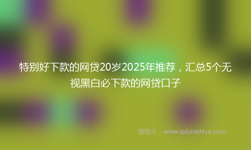 特别好下款的网贷20岁2025年推荐，汇总5个无视黑白必下款的网贷口子