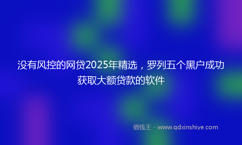 没有风控的网贷2025年精选，罗列五个黑户成功获取大额贷款的软件