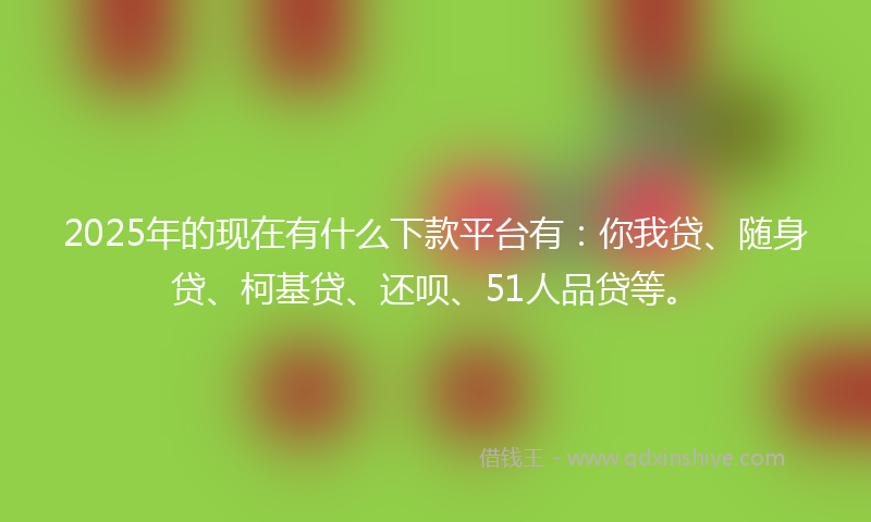 2025年的现在有什么下款平台有：你我贷、随身贷、柯基贷、还呗、51人品贷等。
