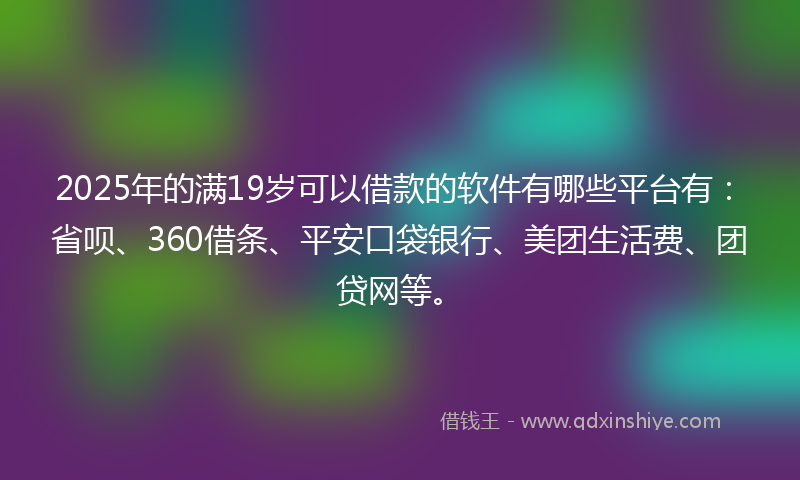 2025年的满19岁可以借款的软件有哪些平台有：省呗、360借条、平安口袋银行、美团生活费、团贷网等。