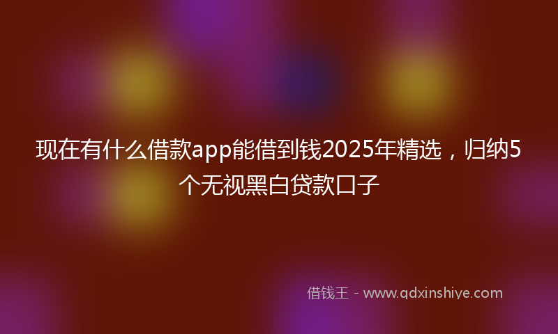 现在有什么借款app能借到钱2025年精选，归纳5个无视黑白贷款口子