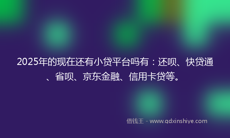 2025年的现在还有小贷平台吗有：还呗、快贷通、省呗、京东金融、信用卡贷等。