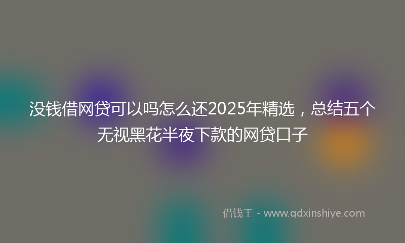 没钱借网贷可以吗怎么还2025年精选，总结五个无视黑花半夜下款的网贷口子