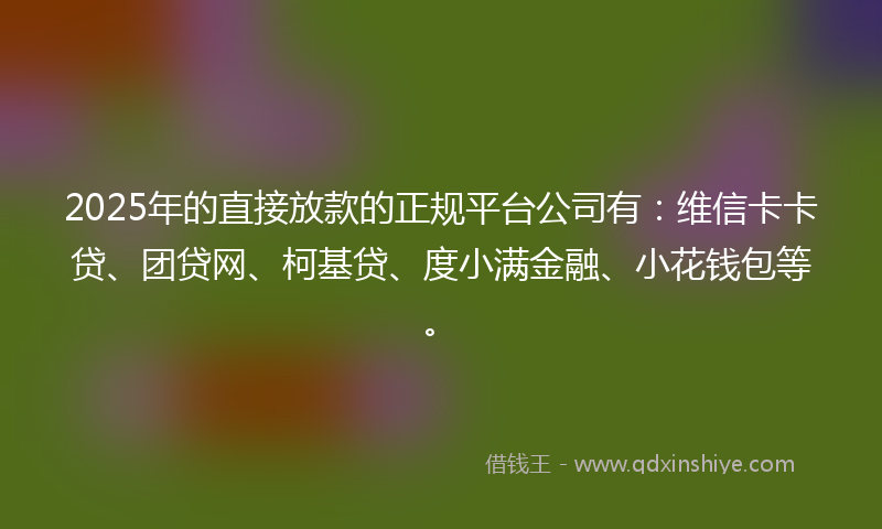 2025年的直接放款的正规平台公司有：维信卡卡贷、团贷网、柯基贷、度小满金融、小花钱包等。