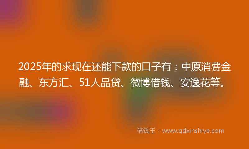 2025年的求现在还能下款的口子有：中原消费金融、东方汇、51人品贷、微博借钱、安逸花等。