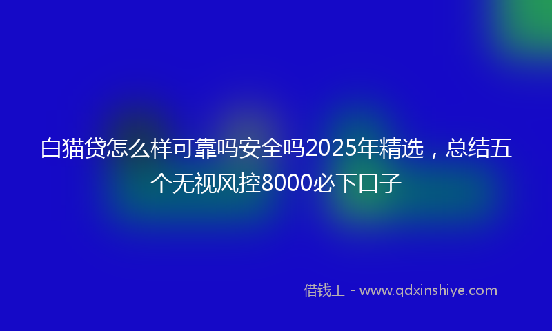 白猫贷怎么样可靠吗安全吗2025年精选，总结五个无视风控8000必下口子